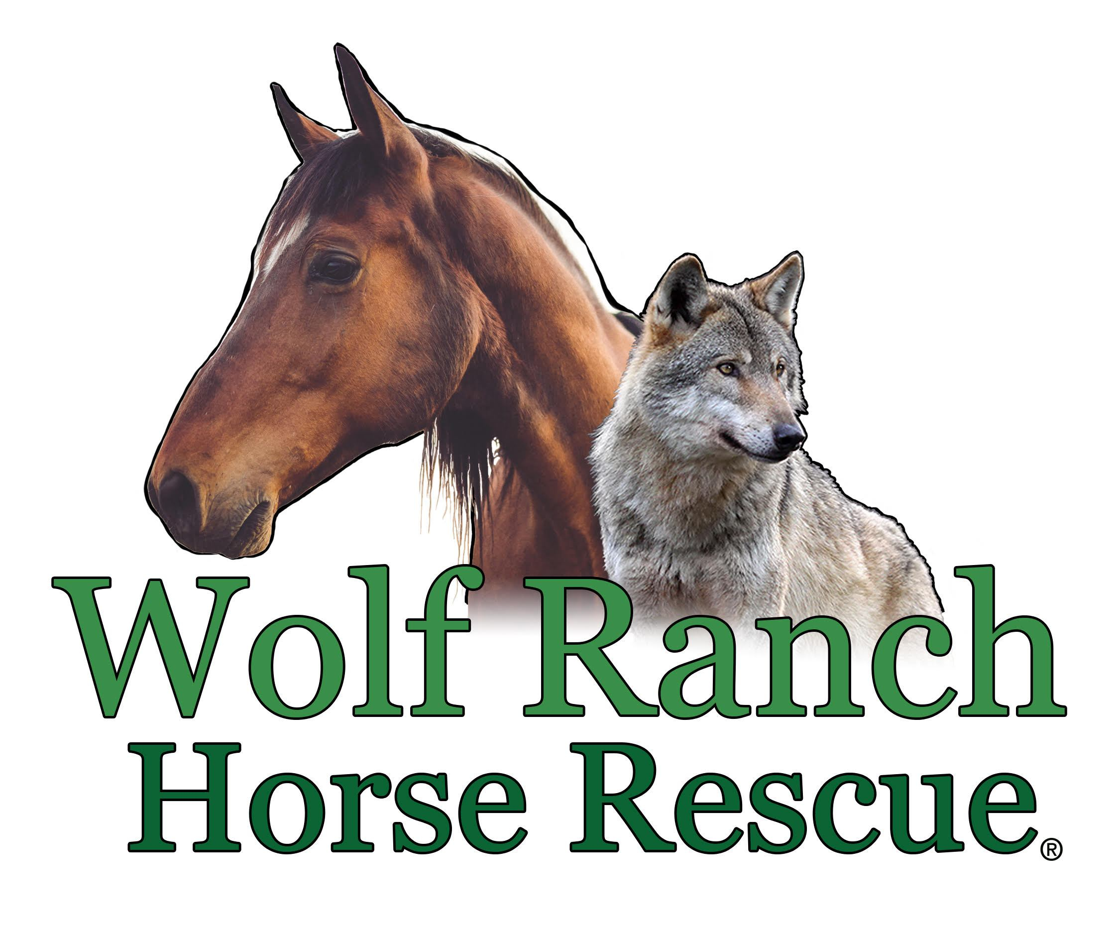 Wolf Ranch Horse Rescue