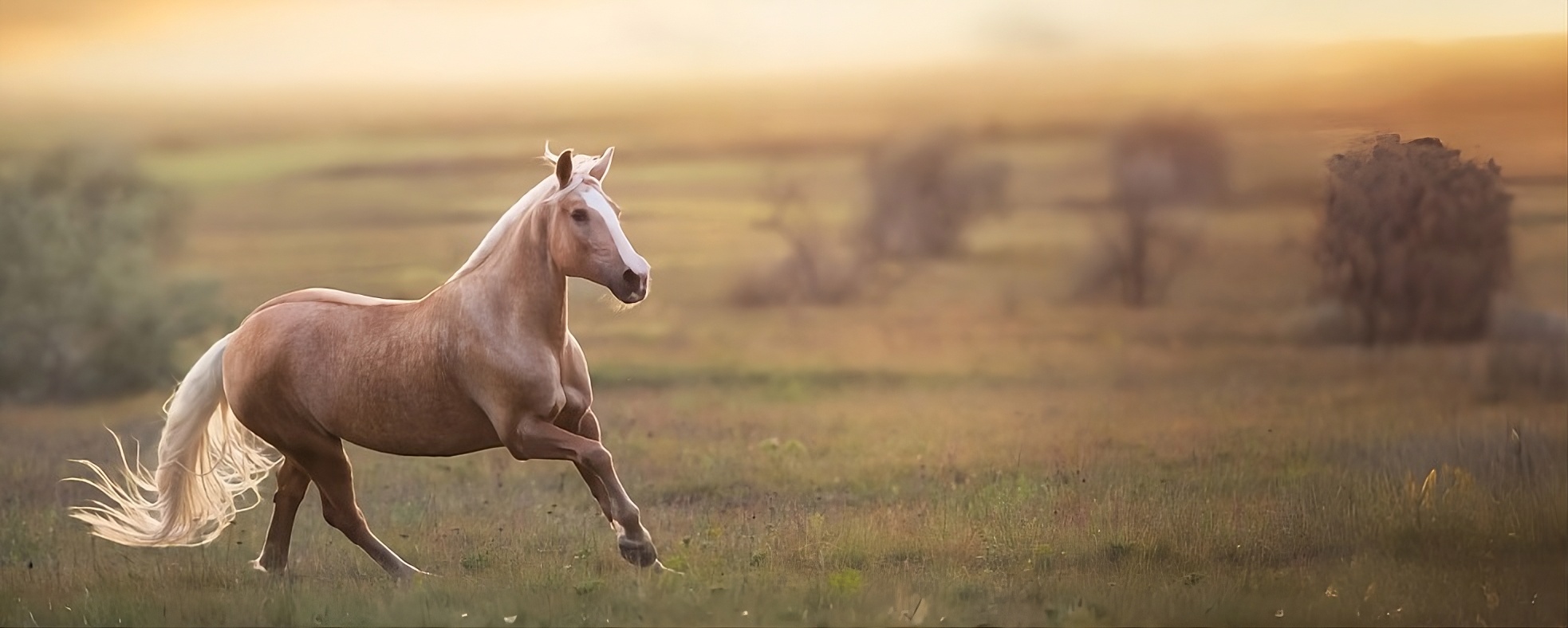 Pine Bush Equine Services and Veterinary Hospital