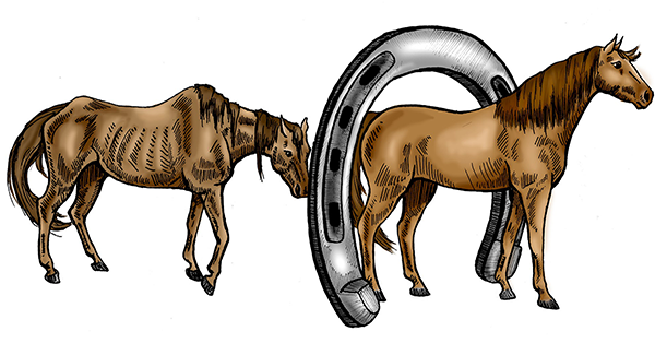 Changing Fates Equine Rescue of Delaware, Inc.