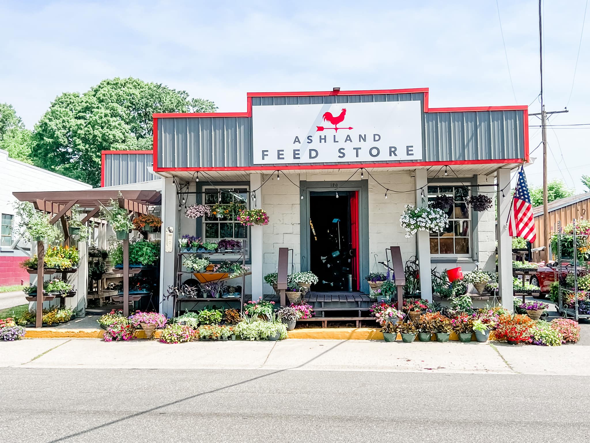 Ashland Feed Store