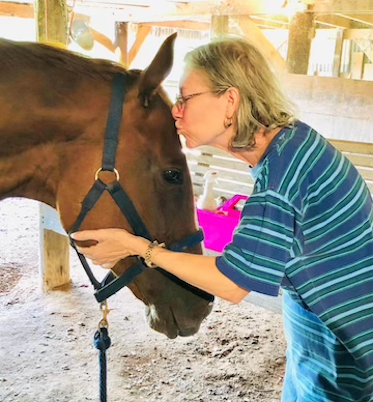 Healing with Horses Louisiana