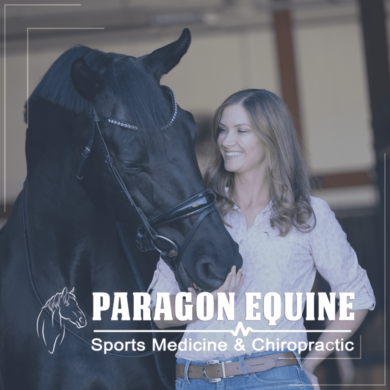 Paragon Equine Sports Medicine & Chiropractic