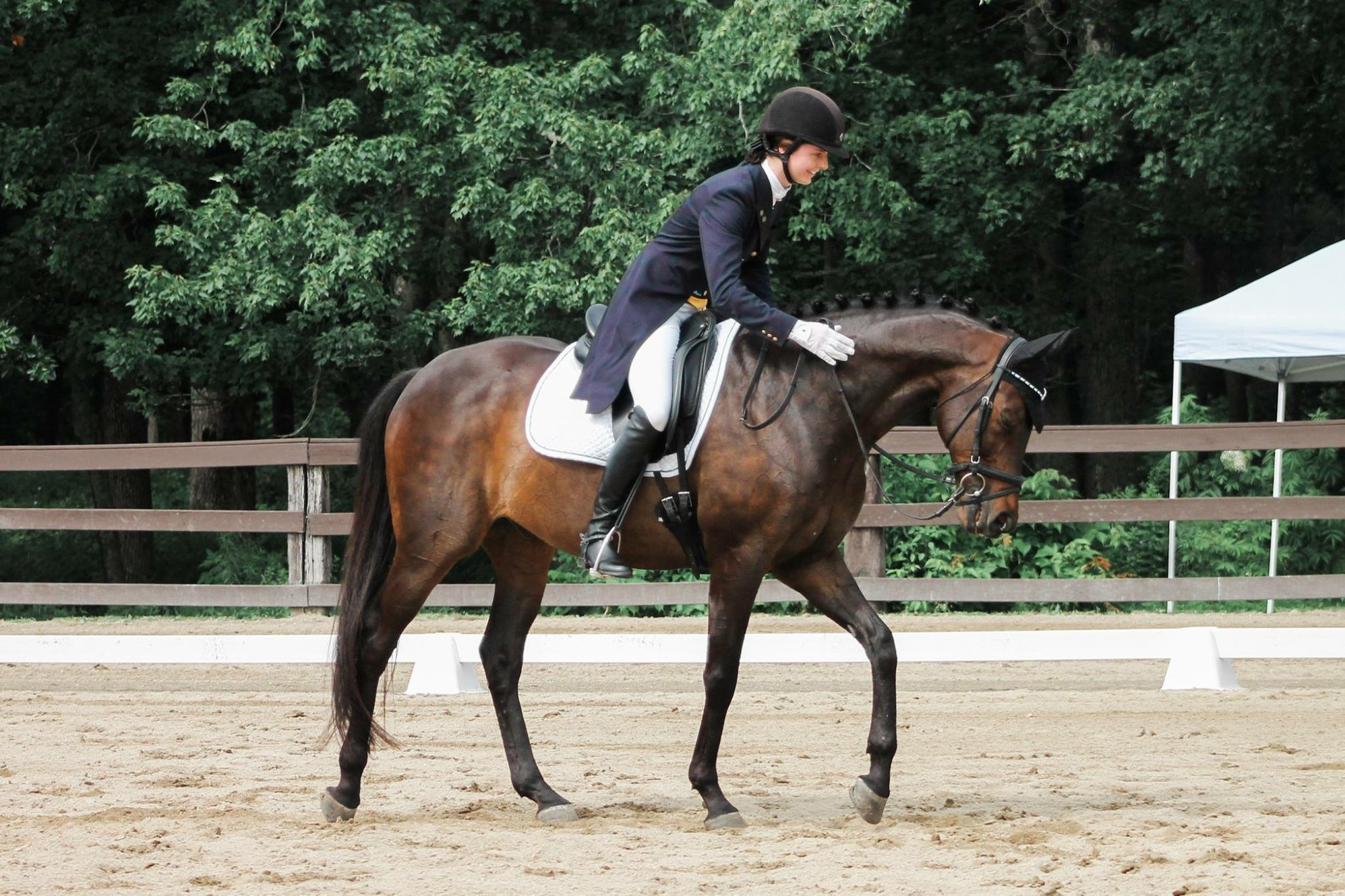 Topline Dressage