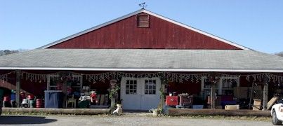 Champion Saddlery
