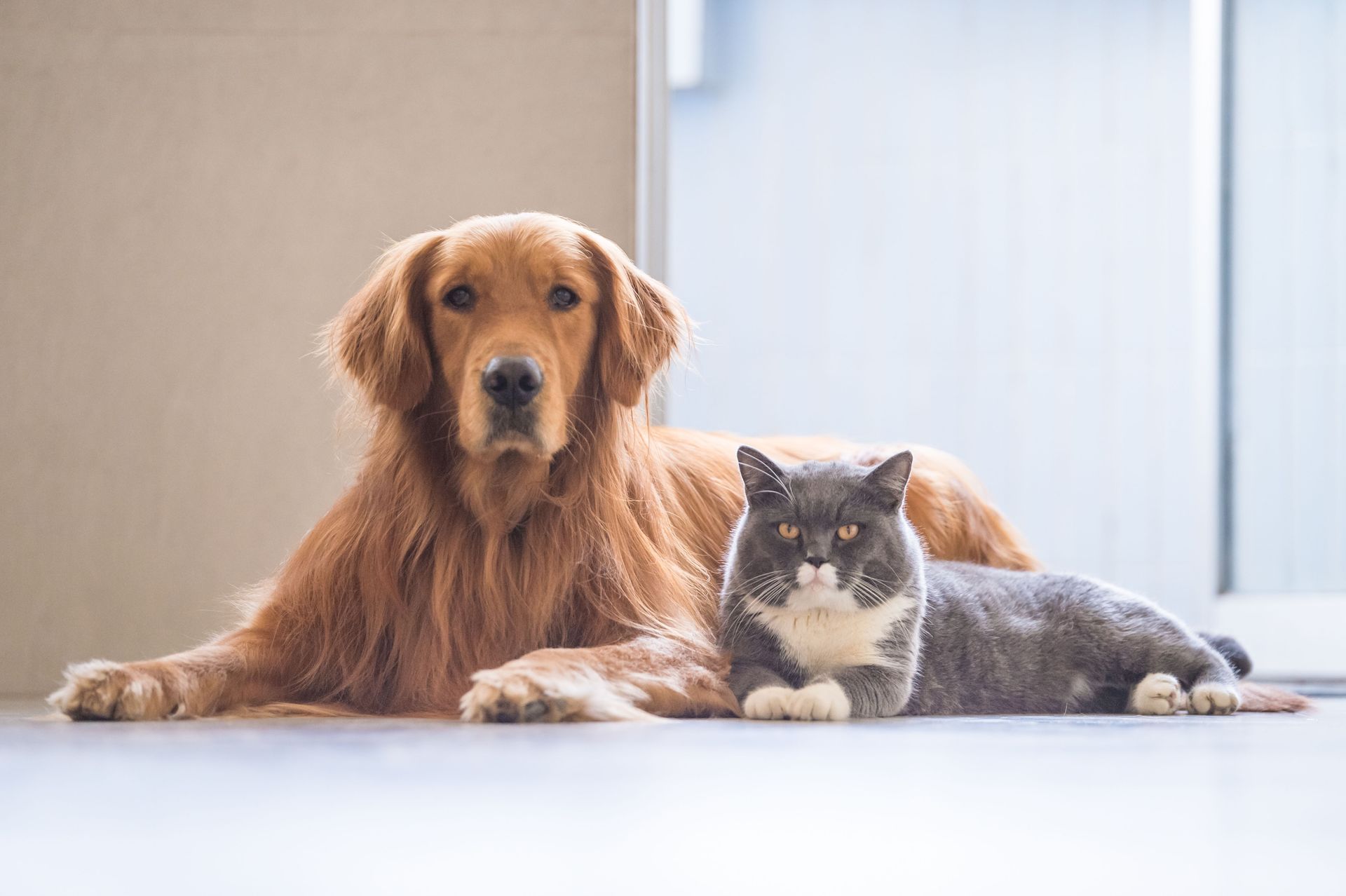 West Branch Animal Clinic
