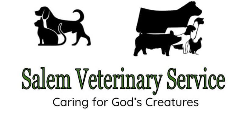 Salem Veterinary Service