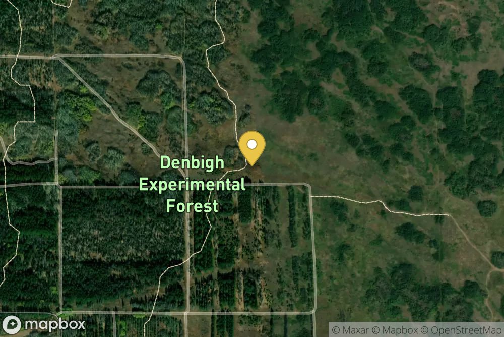 Denbigh Experimental Forest