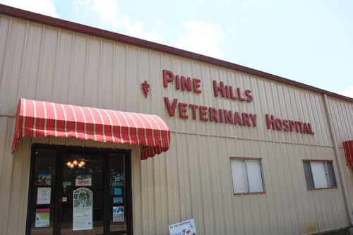 Pine Hills Vet