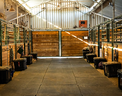 J&J Horse Boarding & Ride Lessons Academy