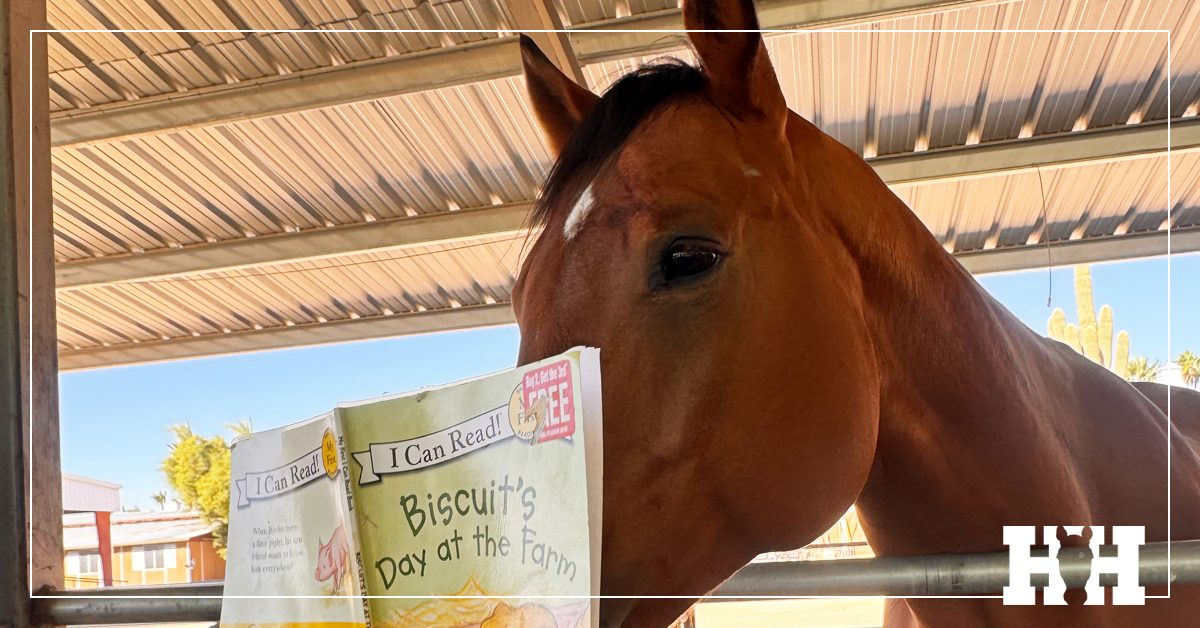 Horses Help Foundation