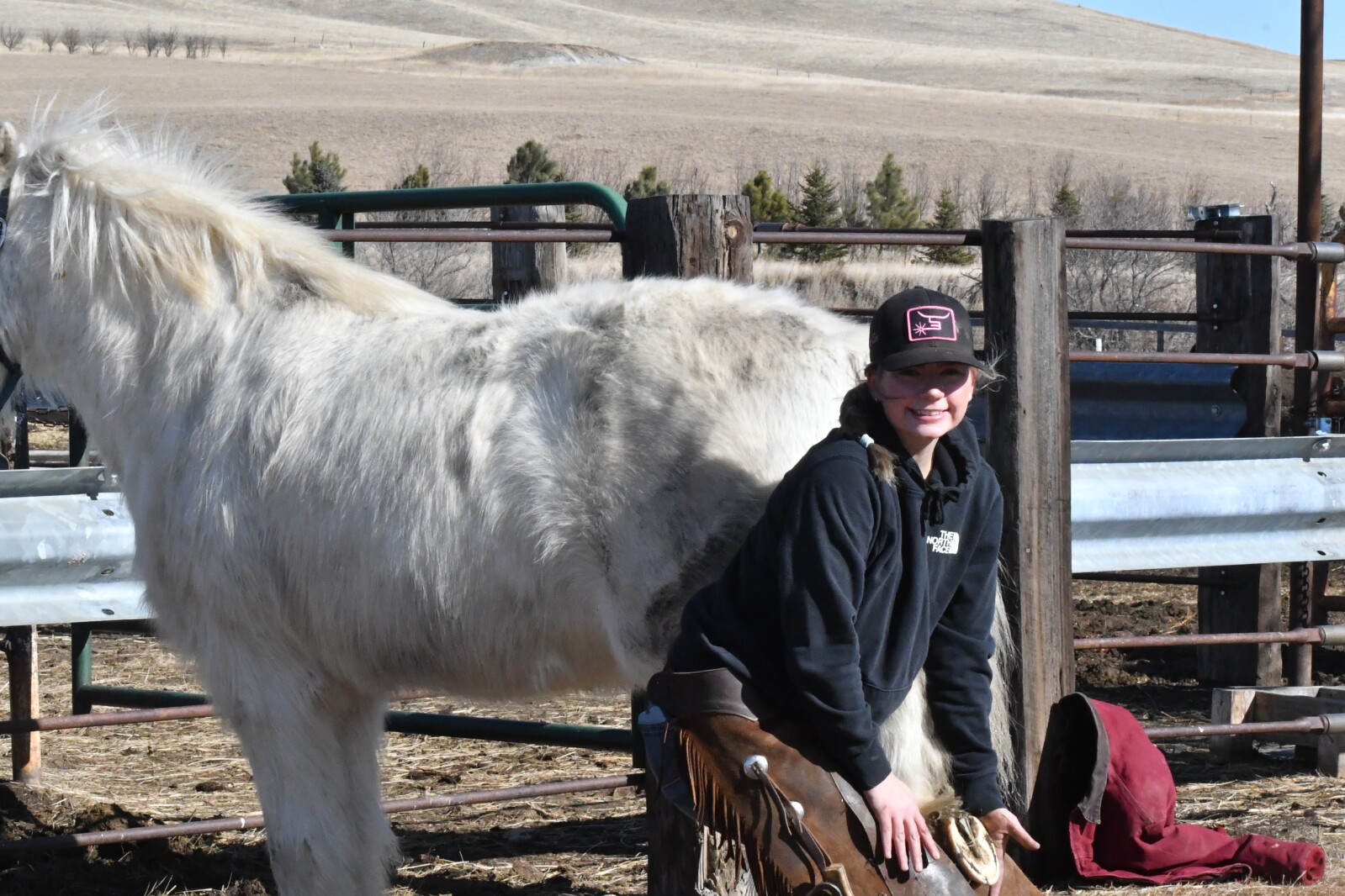 TB Farrier Services