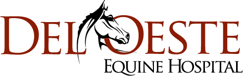 Del Oeste Equine Hospital