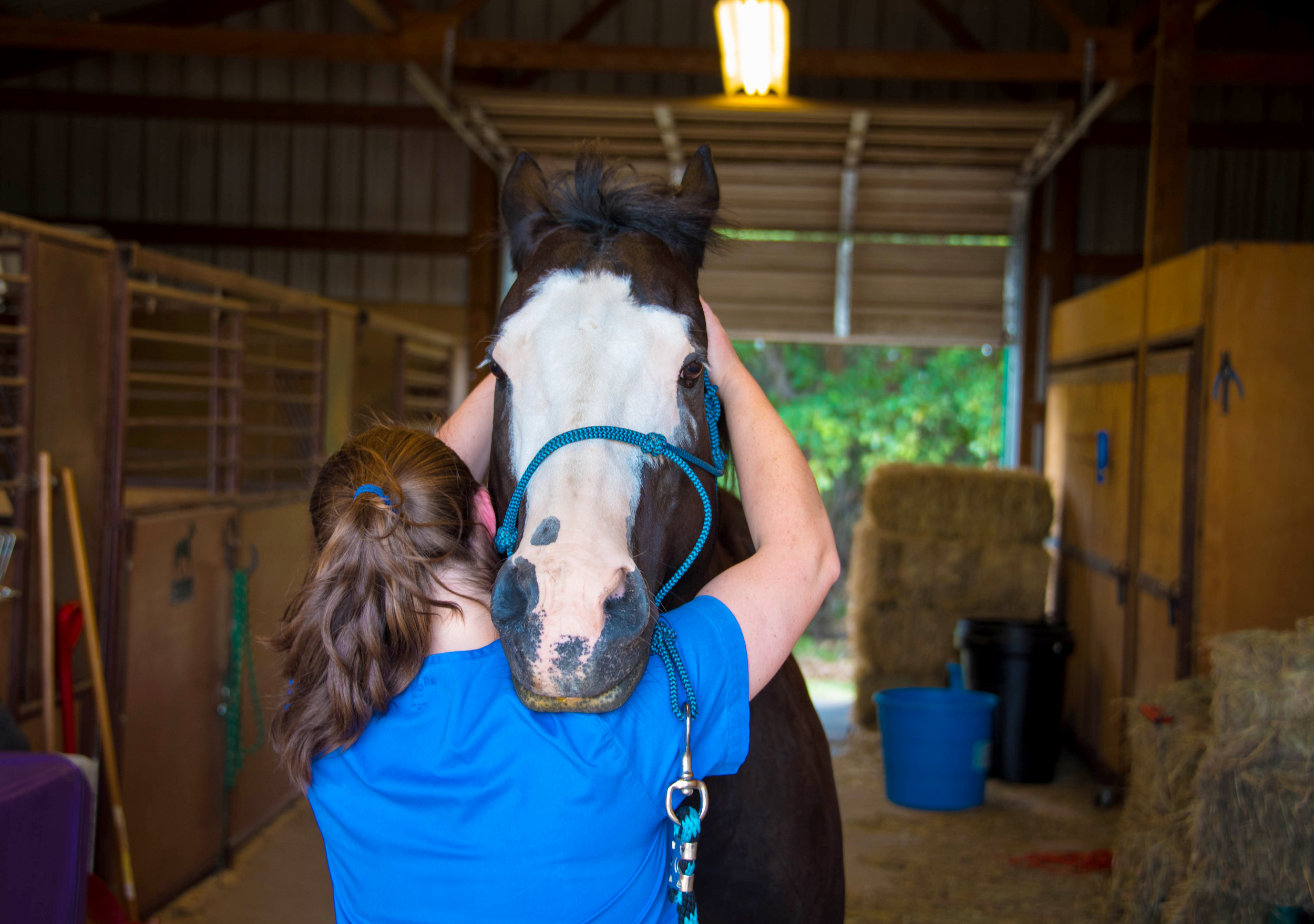 Heartland Veterinary Center