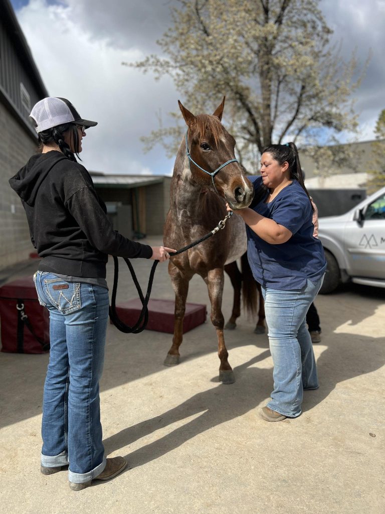 Mountain Point Equine Hospital