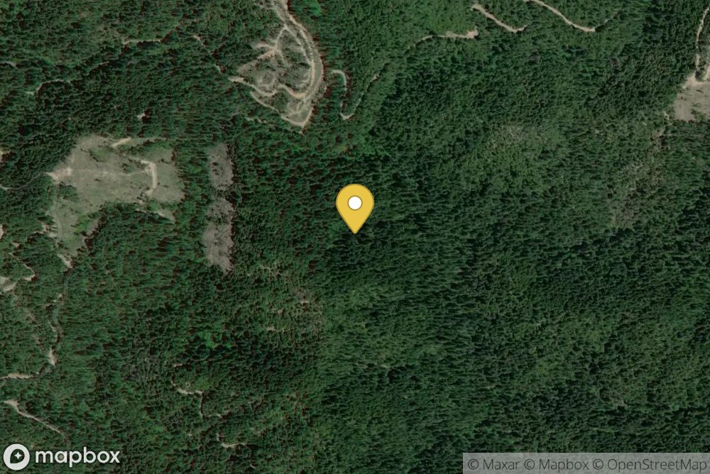 Shasta Lake Area