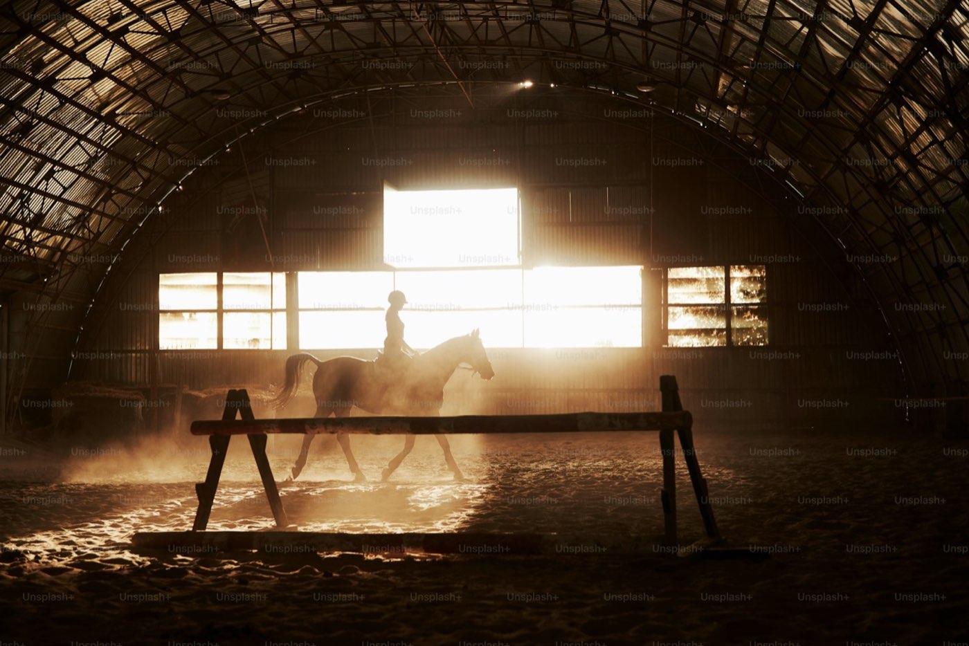 Prince George's Equestrian Center