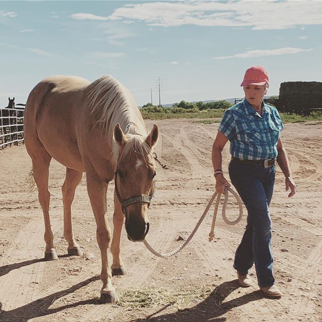 Tamaya Horse Rehab