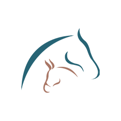 Pacific Crest Equine Veterinary Services