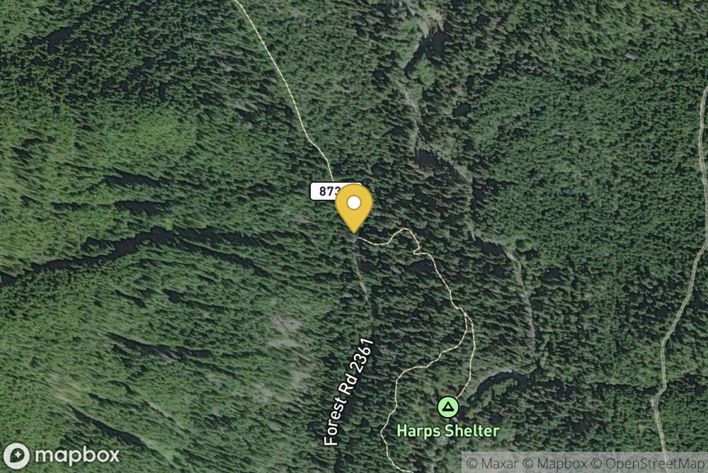 Skokomish Upper/Lower South Fork Trailhead