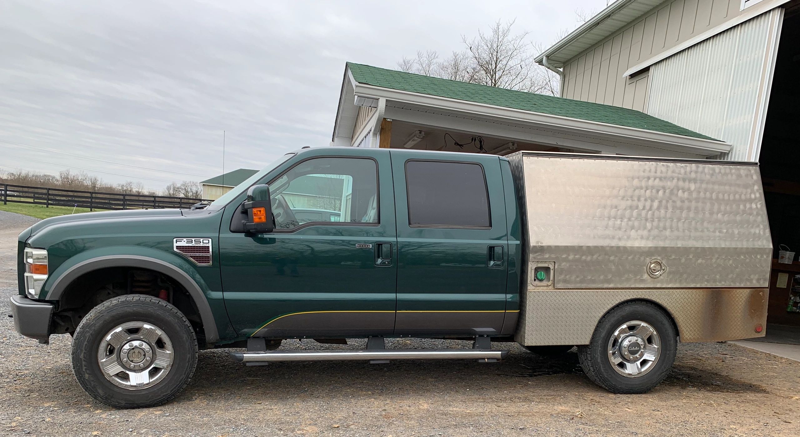 Whole Horse Hoof Care Farrier Services