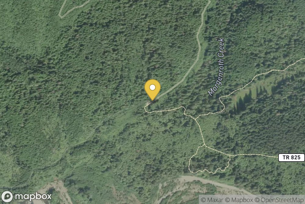 Bogachiel Rain Forest River Trailhead