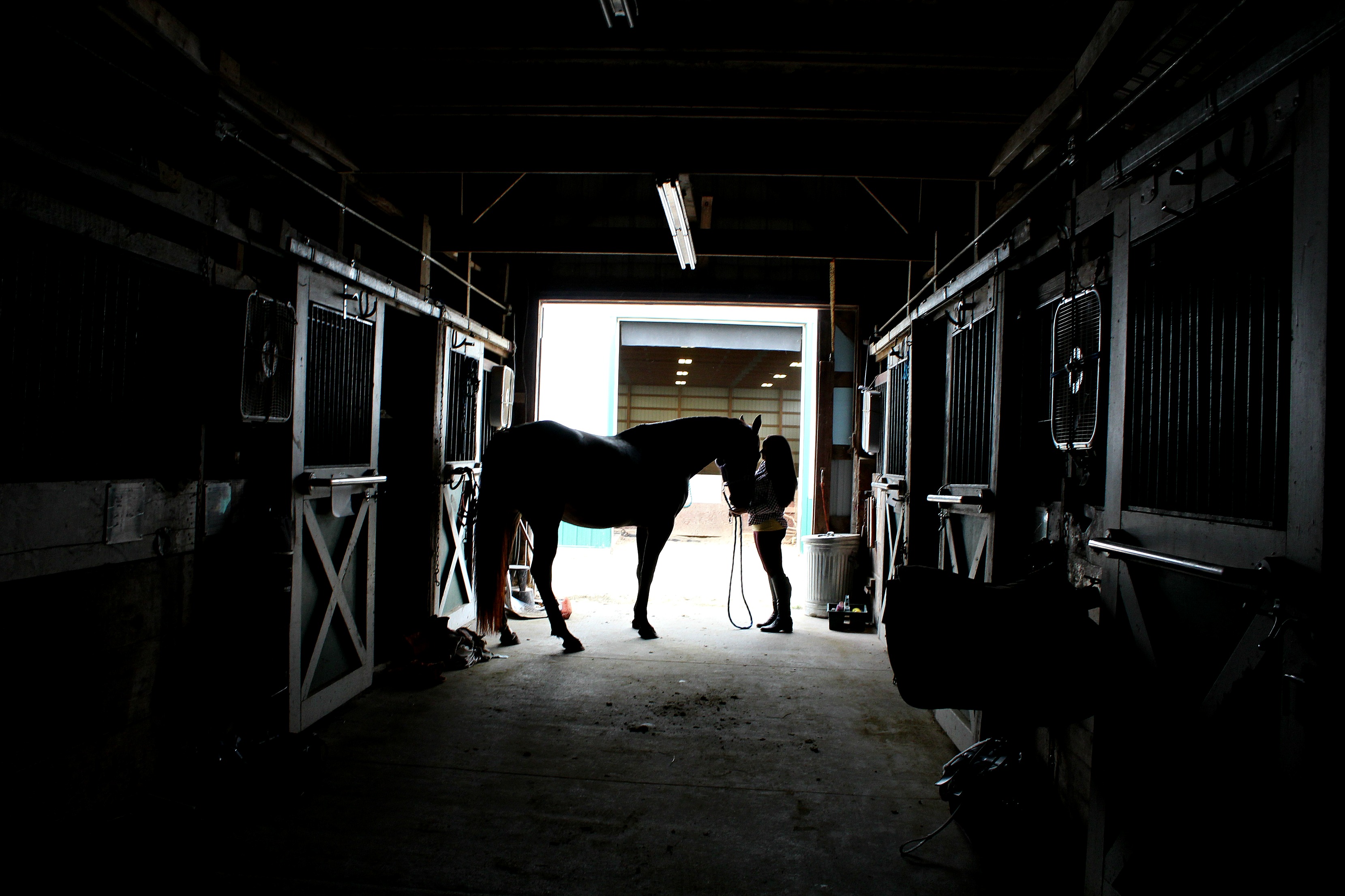 Hope On The Hoof