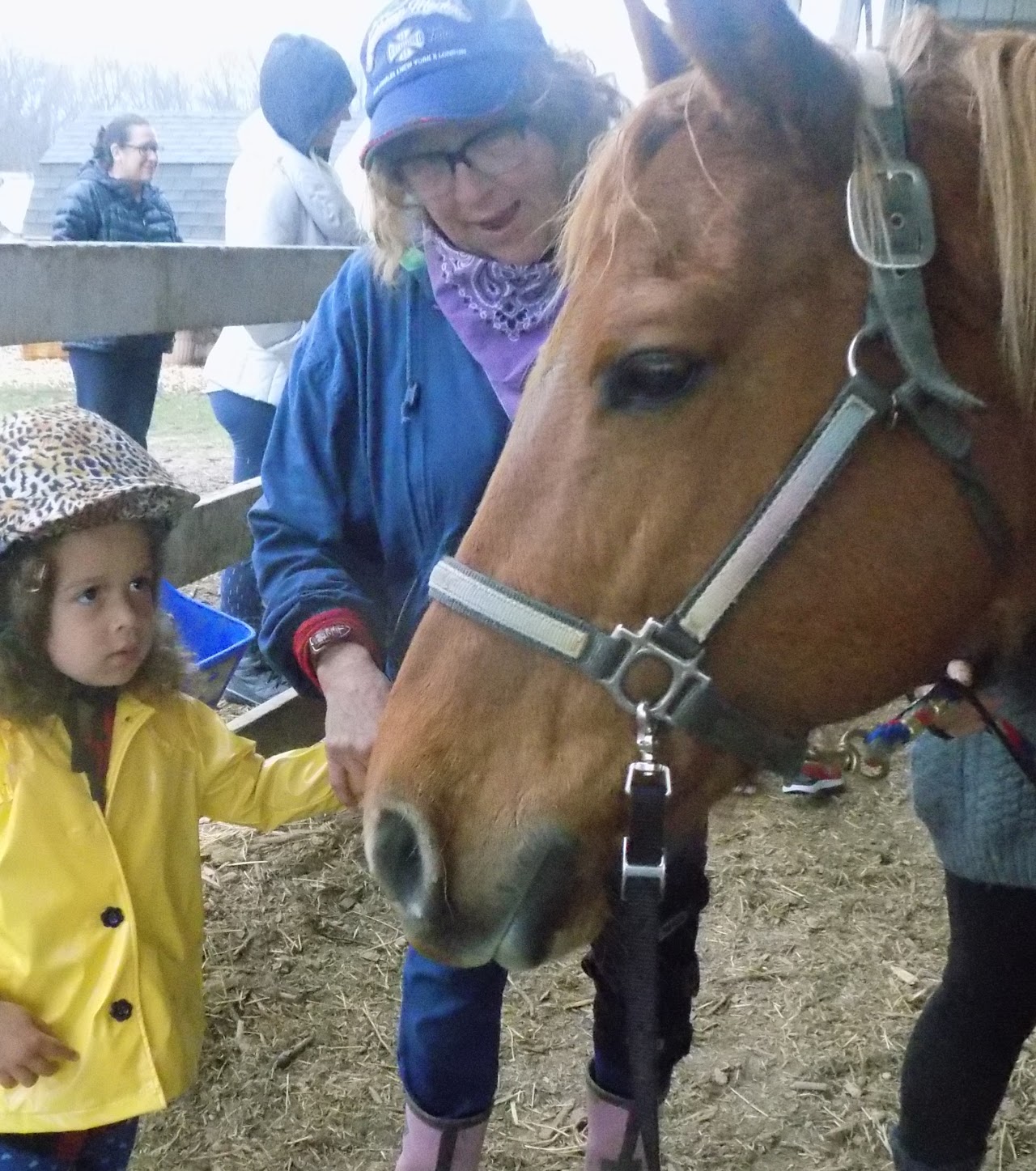Cedar Creek Therapeutic Riding Center