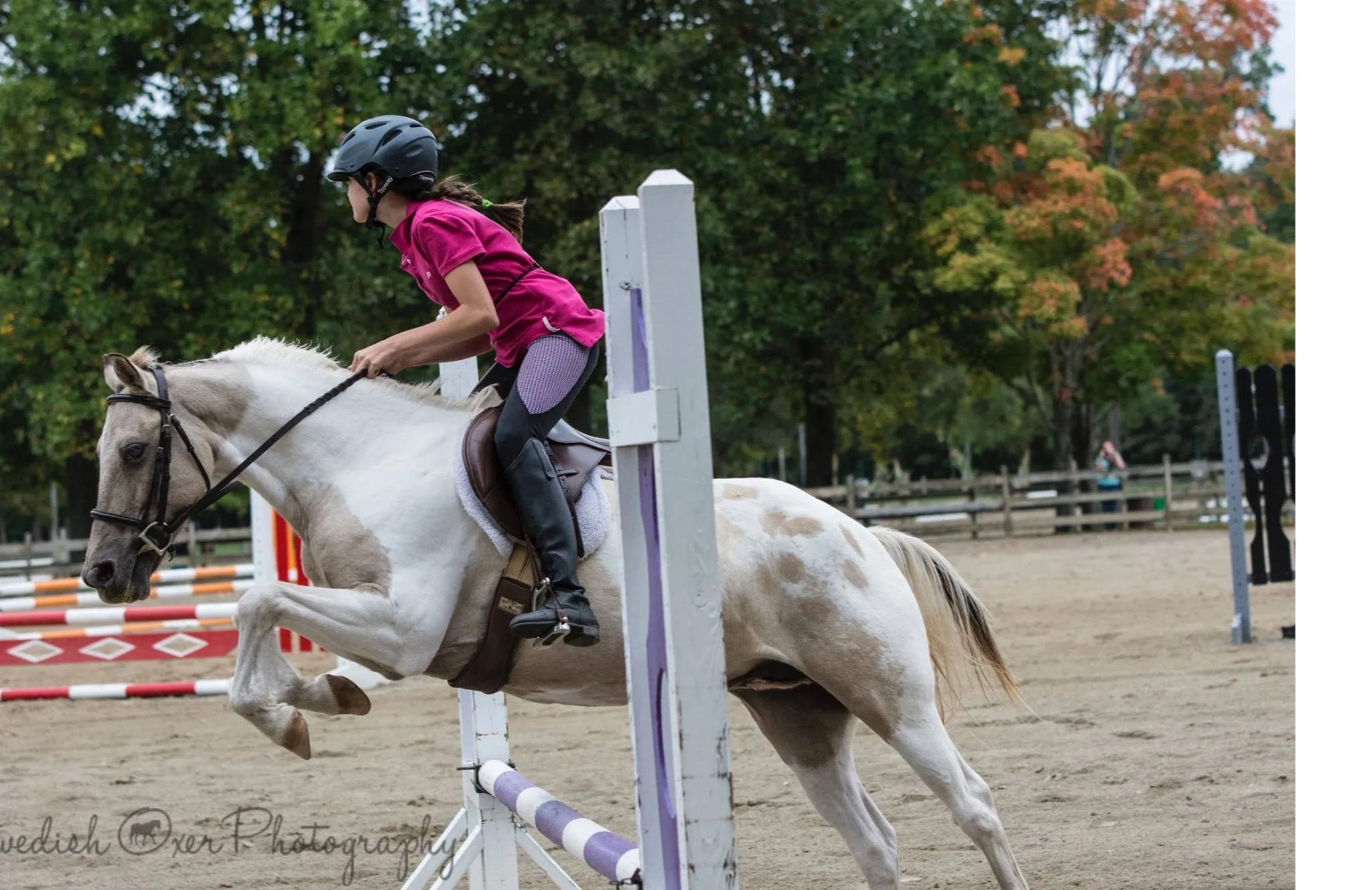 Breezy Meadow Equestrian Centre