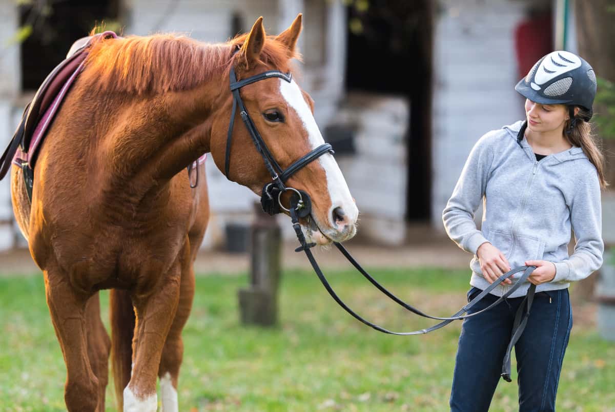 Morgan Stables