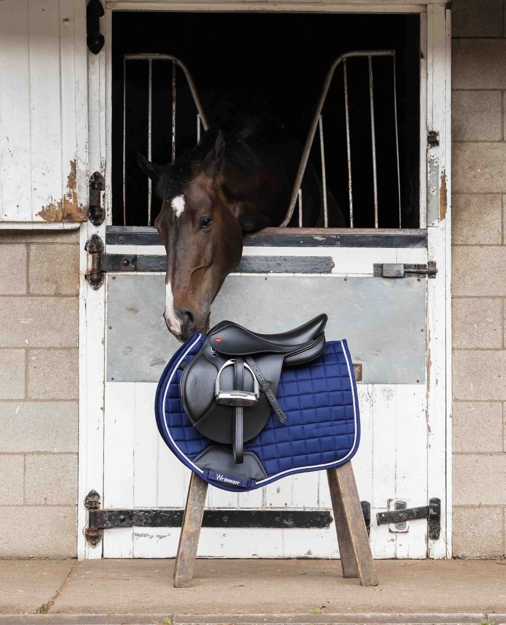 Great British Equinery