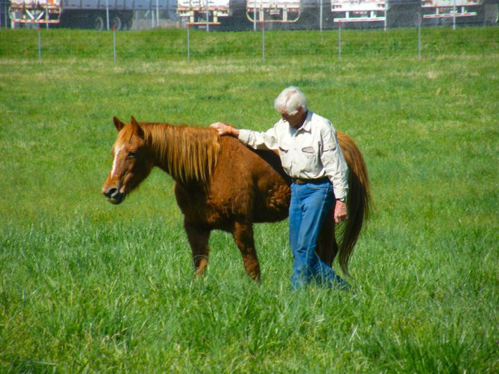 Big Oaks Rescue Farm
