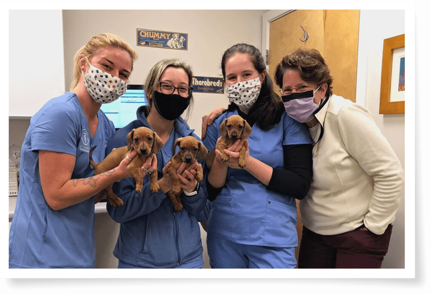 Providence River Animal Hospital