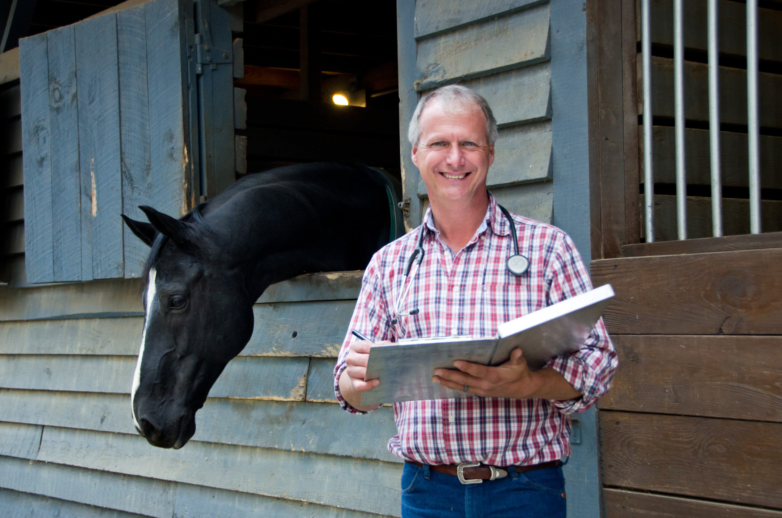 Thompson & Associates Equine Medicine