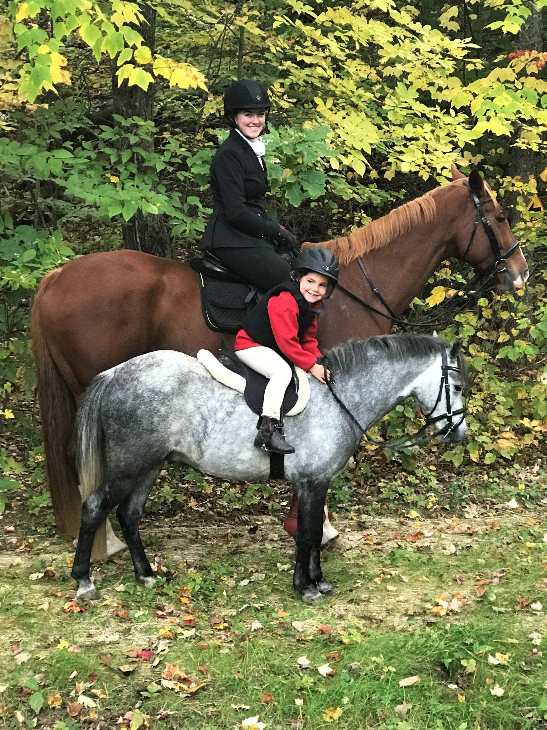 Citadel Equine Veterinary Services