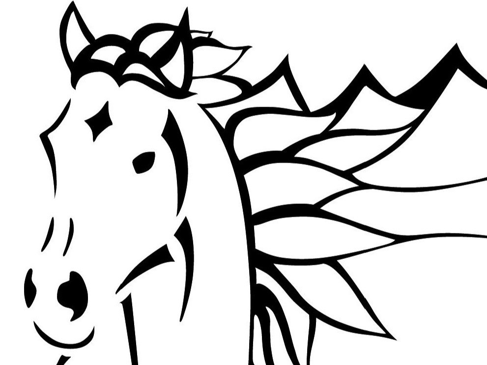 Cascadia Equine Veterinary Clinic and Rehabilitation Center
