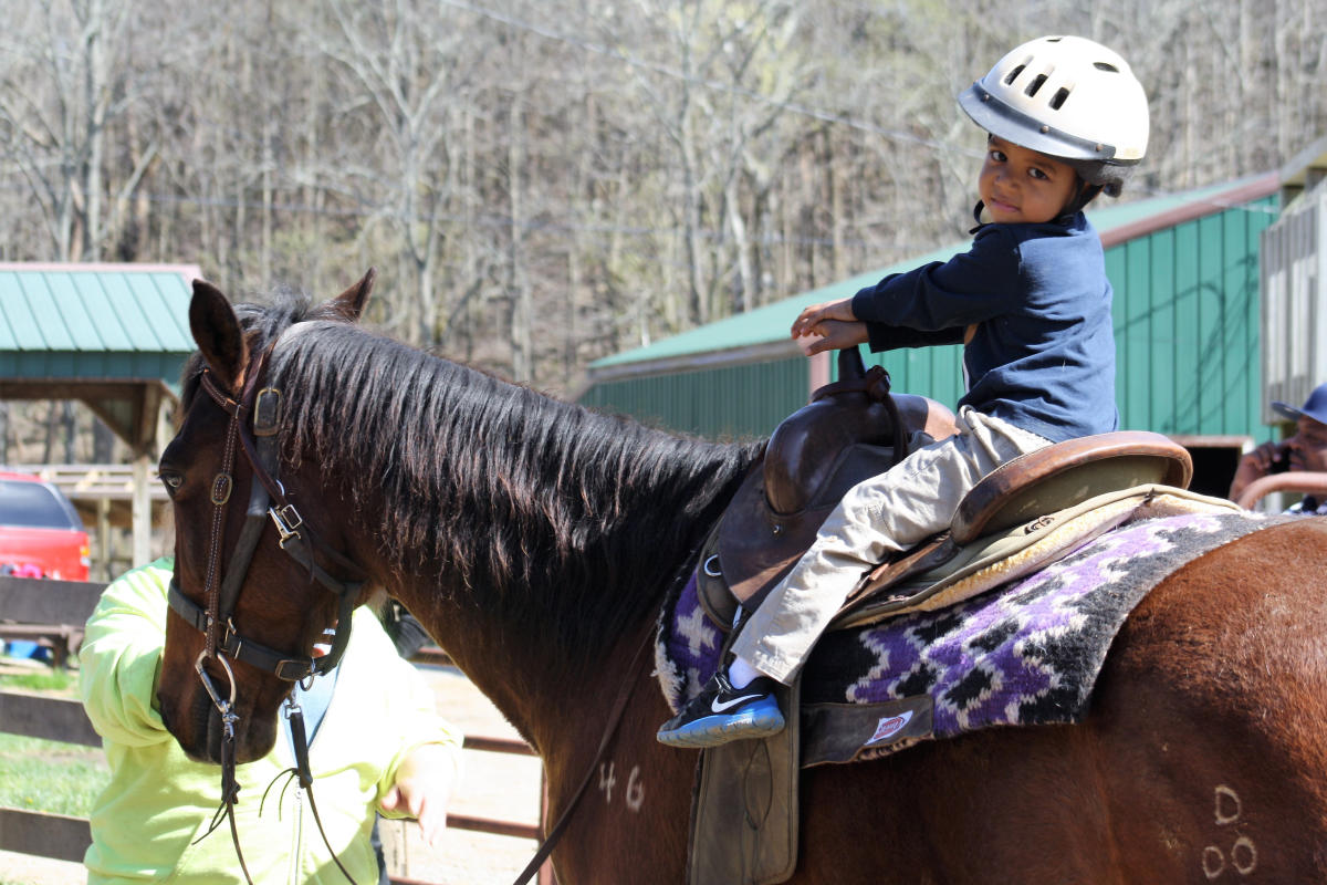 Whispering Woods Riding Stables