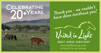 United In Light, Inc., Draft Horse Sanctuary