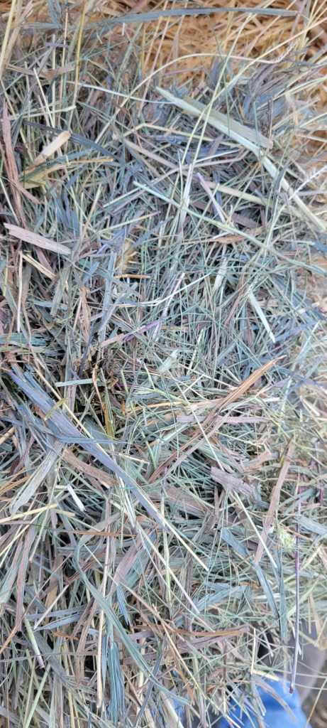 Hay4Sale.com
