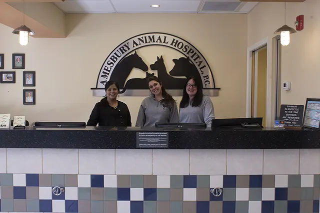 Amesbury Animal Hospital