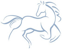 Rivendell Veterinary Care, PC