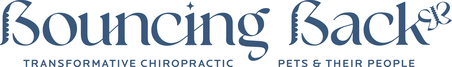 Bouncing Back Mobile Chiropractic