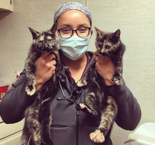 South Deerfield Veterinary Clinic
