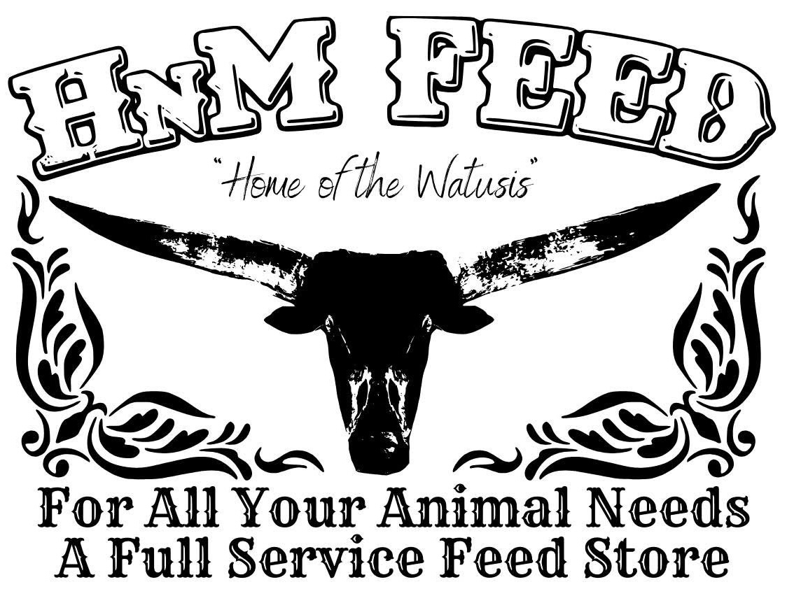 HnM Feed