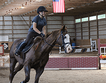 Executive Stables
