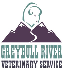 Greybull River Veterinary Service